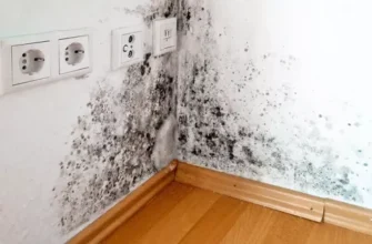 Цей засіб творить дива! Чорна цвіль зникне за лічені хвилини