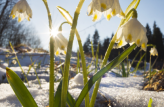 🥶Україну накриє снігом: коли погода різко зміниться❄️