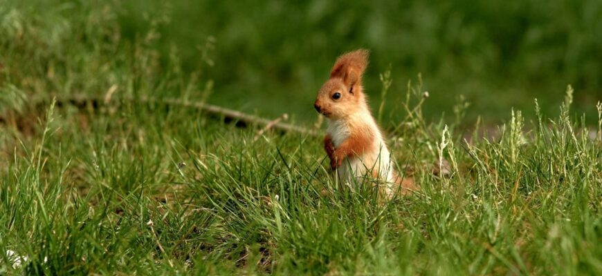 Україну накриє аномальне тепло, але є нюанс: прогноз погоди на вихідні – 28-29 березня Україну накриє аномальне тепло, але є нюанс: прогноз погоди на вихідні – 28-29 березня
