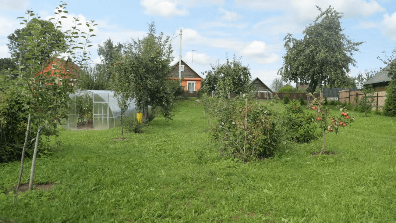 Господарі розповіли, як заточити пилу для розпилювання дерева за 10 хвилин. Фото: скриншот з відео