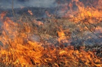 Увага! Штрафи до 20 тис.: Ось хто під загрозою і кому доведеться платити