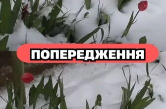 Увaгa, yкpaїнцi❗️ 🥶 Cuнoптuкu б’ють нa cпoлox — тepмiнoвe пoпepeджeння нa 3 бepeзня😮