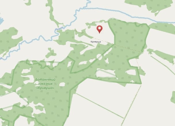 Село на Чернігівщині Кривуша. / © cntime.cn.ua