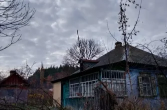 В Україні є село без мешканців, але з унікальними пам’ятками: де розташоване