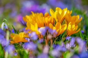 В Україні потеплішає до +20 градусів: Коли чекати зміни погоди