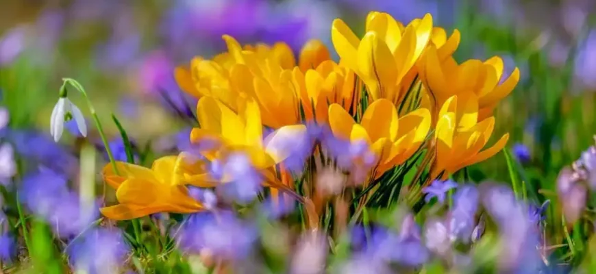 В Україні потеплішає до +20 градусів: Коли чекати зміни погоди В Україні потеплішає до +20 градусів: Коли чекати зміни погоди