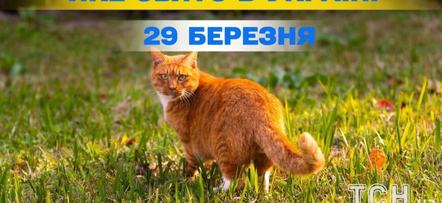 Яке сьогодні, 29 березня, свято — все про цей день, яке церковне свято Яке сьогодні, 29 березня, свято — все про цей день, яке церковне свято