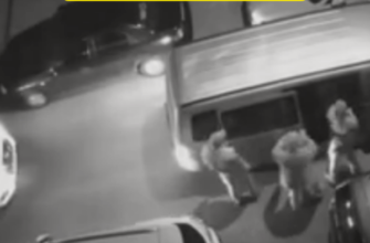 ЗАХІД‼️😨 7 автівок переслідували бус ТЦК — те, що сталося далі, шокує🤯👇