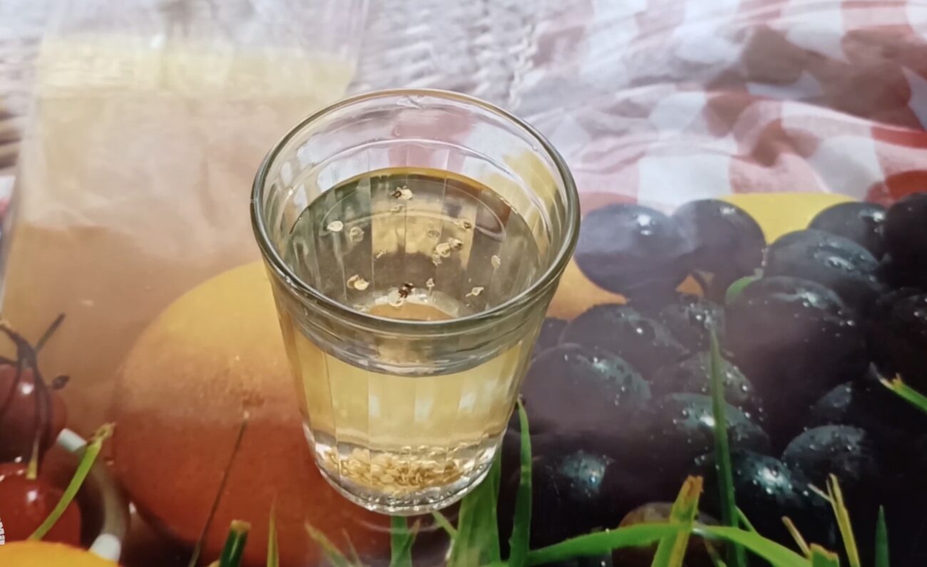 Городники розповіли, як проростити насіння перцю за три дні Городники розповіли, як проростити насіння перцю за три дні