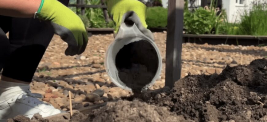 Щоранку дачники викидають у смітник те, що могло б перетворити город на справжній рай – що це Щоранку дачники викидають у смітник те, що могло б перетворити город на справжній рай – що це