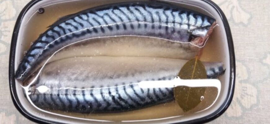 Малосольна скумбрія без проблем: лише 3 простих кроки, 3 хвилини на кухні, і результат 10 з 10 Малосольна скумбрія без проблем: лише 3 простих кроки, 3 хвилини на кухні, і результат 10 з 10