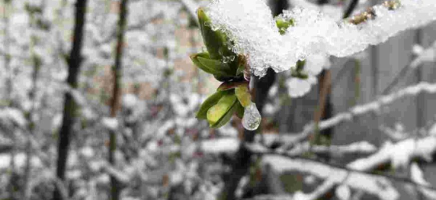 Заморозки чи потепління до +25°С: якою буде погода на Великдень та у квітні загалом Заморозки чи потепління до +25°С: якою буде погода на Великдень та у квітні загалом