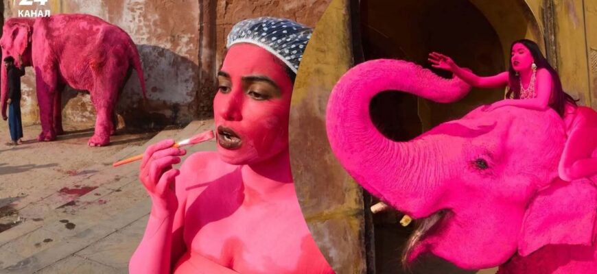 В Індії помер слон, якого росіянка розфарбувала в рожевий колір для фотосесії