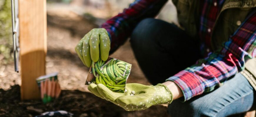 Що посадити у квітні у відкритий ґрунт, теплицю та на розсаду: шпаргалка для дачника Що посадити у квітні у відкритий ґрунт, теплицю та на розсаду: шпаргалка для дачника