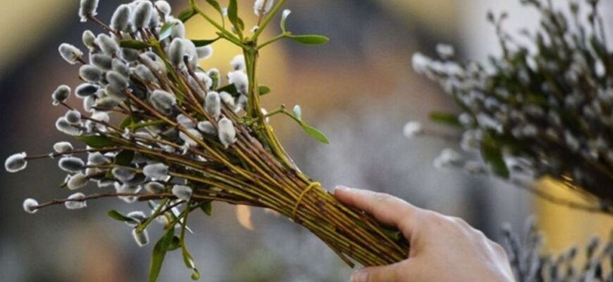 Чому на Вербну неділю святять вербу: як виникла ця традиція в Україні Чому на Вербну неділю святять вербу: як виникла ця традиція в Україні