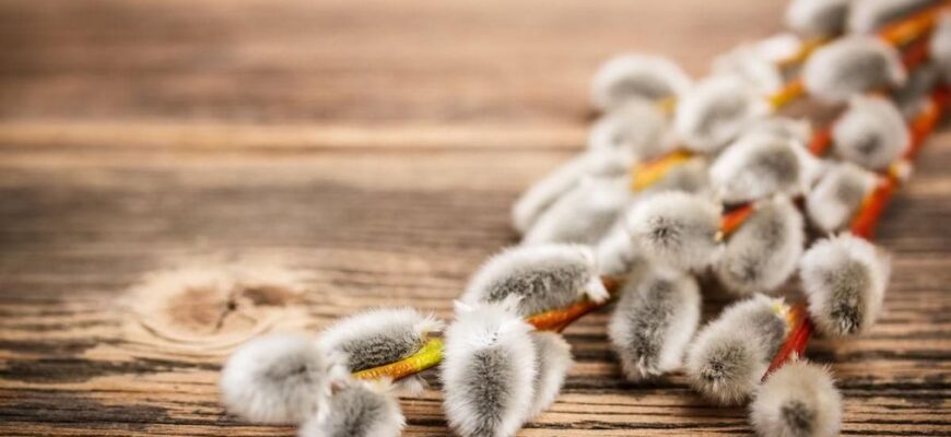 Що категорично не можна робити з вербою на Вербну неділю, щоб не накликати біди