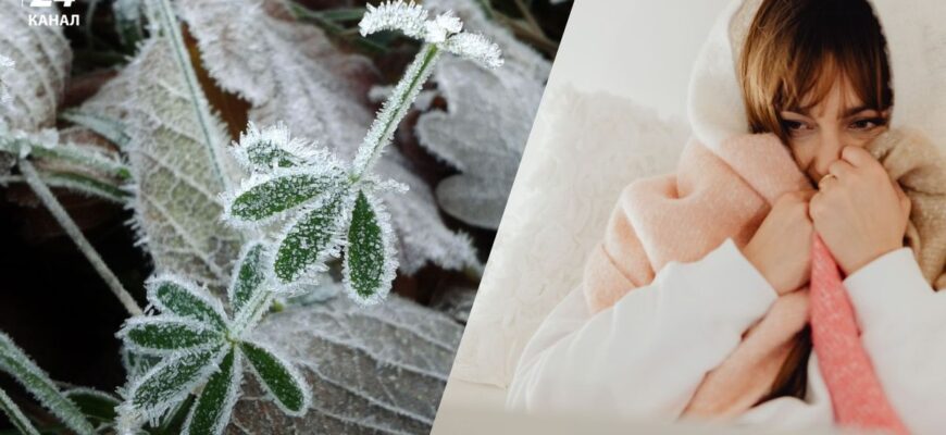 Заморозки до -3: де і коли різко опуститься температура Заморозки до -3: де і коли різко опуститься температура