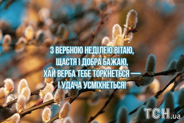 Привітання з Вербною неділею / © ТСН