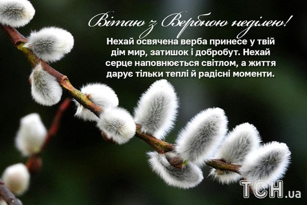 Привітання з Вербною неділею / © ТСН