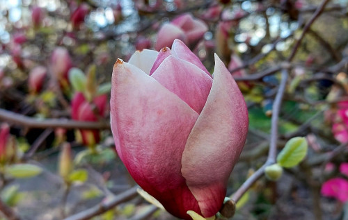 Завтра в Україні втримається холодна погода. А на Великдень скромно потепліє – синоптикиня Завтра в Україні втримається холодна погода. А на Великдень скромно потепліє – синоптикиня