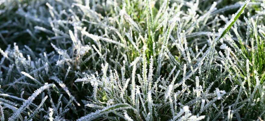 На Україну сунуть заморозки: яких регіонів це стосується