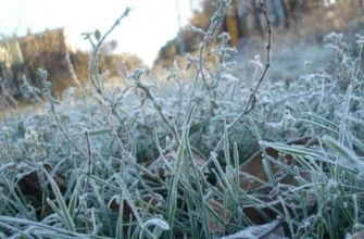 Яким буде Великдень? Тривожний прогноз синоптиків