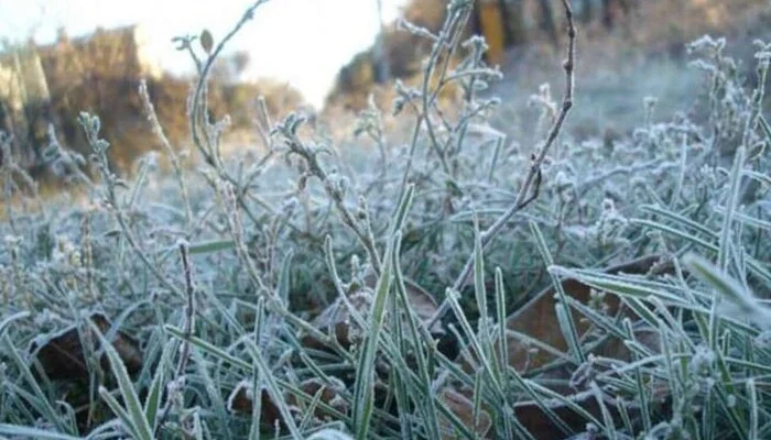 Яким буде Великдень? Тривожний прогноз синоптиків Яким буде Великдень? Тривожний прогноз синоптиків