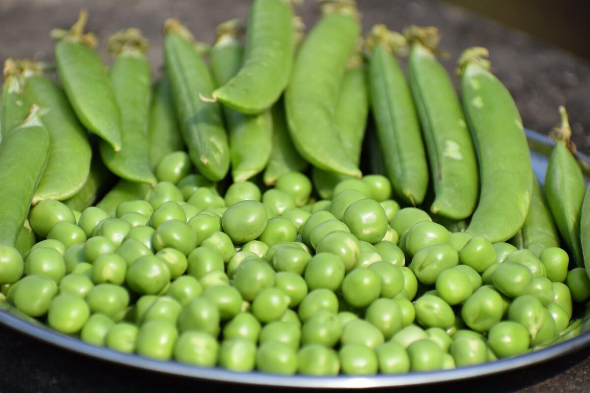 Рослини, які потрібно посадити до Великодня. Фото: Pixabay