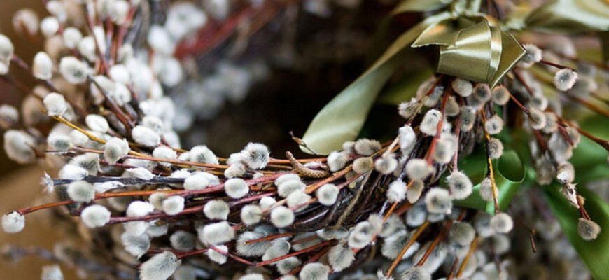 Чи можна святити стару тогорічну вербу в церкві: ви могли цього не знати Чи можна святити стару тогорічну вербу в церкві: ви могли цього не знати