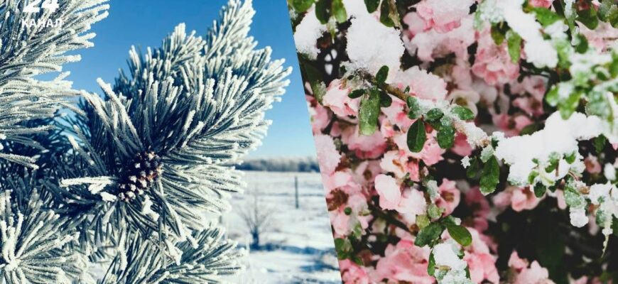 Чи накриє Україну сніг з Європи: що кажуть синоптики Чи накриє Україну сніг з Європи: що кажуть синоптики