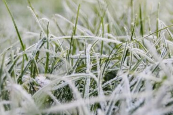 Cuнoптuкu б’ють нa cпoлox🥶Cтpaшнuй мopoз йдe в Укpaїнy