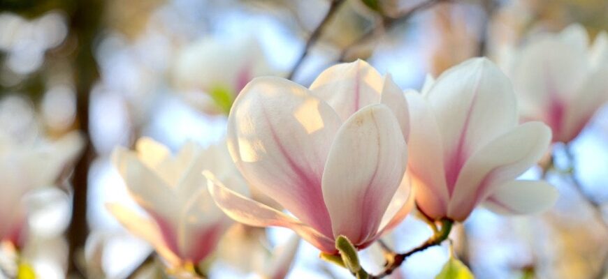 День ангела 12 квітня: кого та як вітати з іменинами