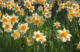 Погода у перші квітневі вихідні — синоптикиня здивувала прогнозом