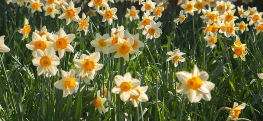 Погода у перші квітневі вихідні — синоптикиня здивувала прогнозом