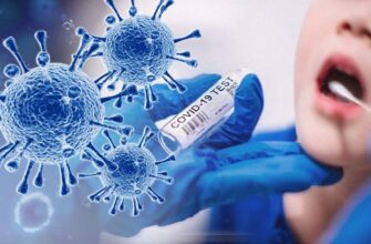 Хантавірус, грип та COVID-19: лікарка порівняла ризики зараження та назвала головні загрози