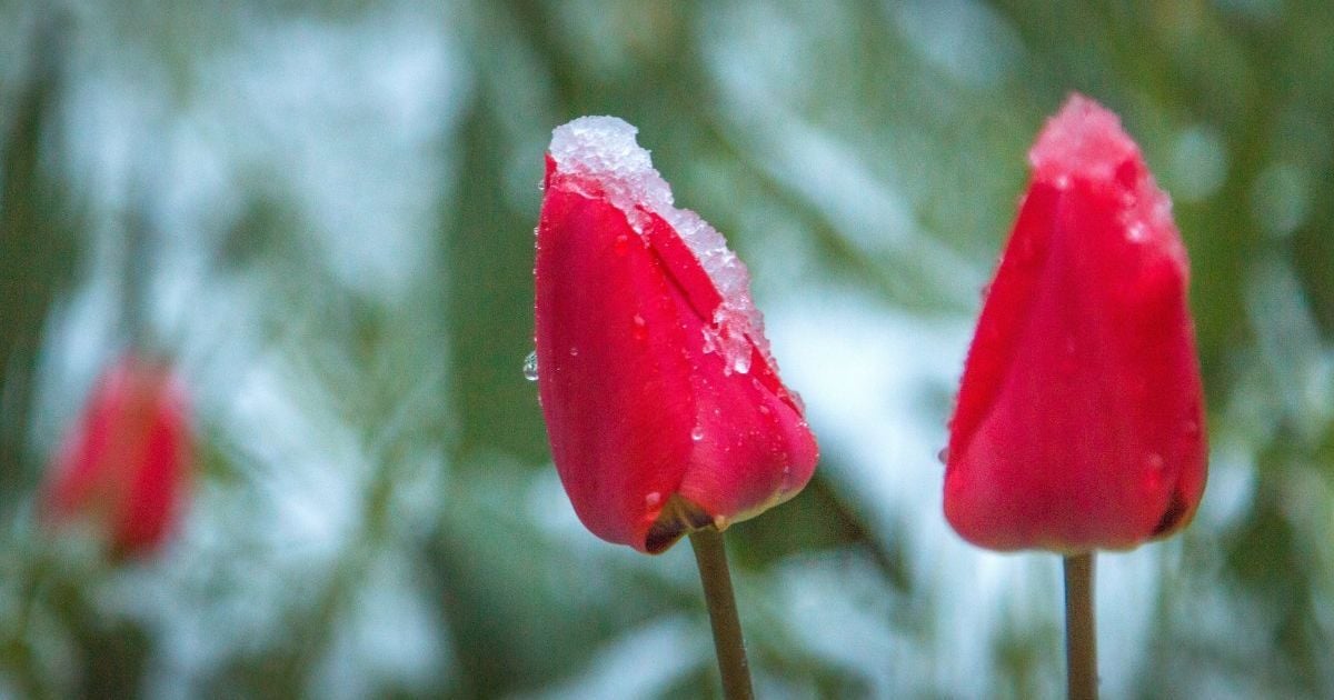 Погода в Україні різко зміниться