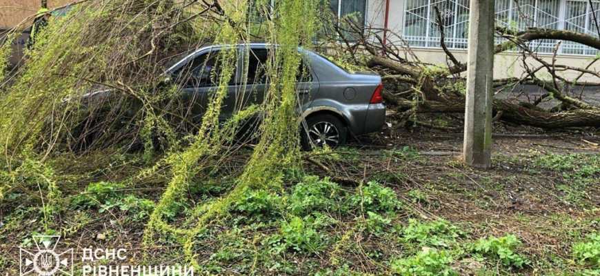 Страшна негода у Рівному наробила шкоди. Фото