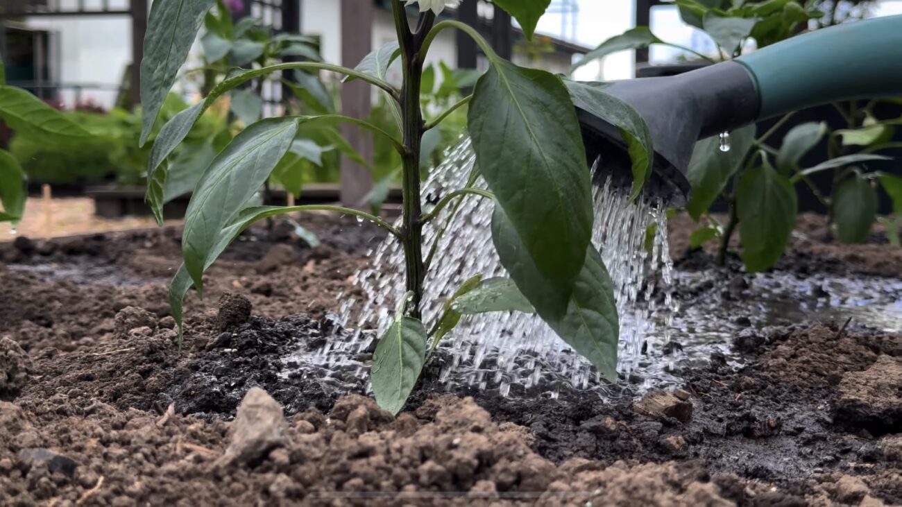 Городники нагадали про дні перед Великоднем, коли не можна працювати на дачі. Фото: YouTube Корисні корисності