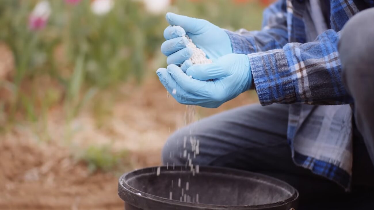 Городники назвали дні, коли не можна займатися городніми справами. Фото: YouTube-канал NASINTRAV Городники назвали дні, коли не можна займатися городніми справами. Фото: YouTube-канал NASINTRAV