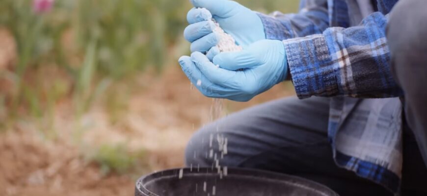 На початку квітня город потрібно посипати цим добривом: ґрунт стане у 10 разів родючішим, ніж після перегною На початку квітня город потрібно посипати цим добривом: ґрунт стане у 10 разів родючішим, ніж після перегною