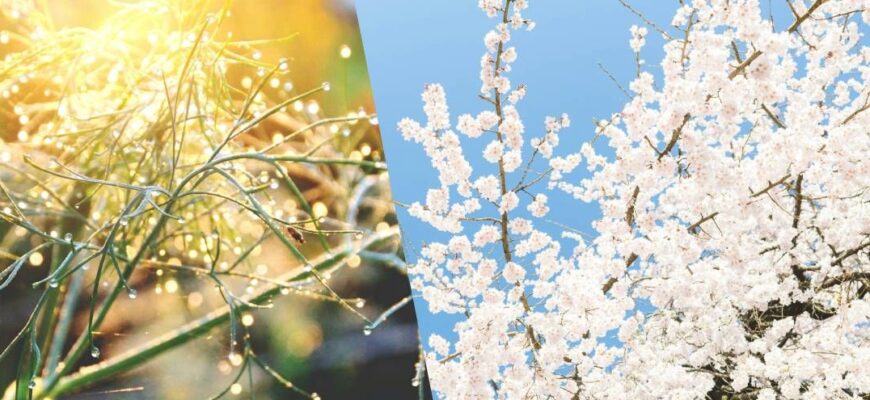 Коли покращиться погода і потепліє до +15: метеорологиня пояснила, коли чекати змін Коли покращиться погода і потепліє до +15: метеорологиня пояснила, коли чекати змін