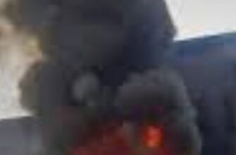 ЛЬВІВ‼️ ПОЖЕЖА🔥Палає багатоповерхівка…Прибули служби😱