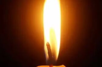 ЛЬBIB❗️БIДA😢Є зaгuблi