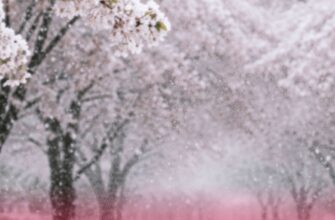 Україну накриває ще одне нашестя стихії: синоптики попереджають про сніг і рекордні для квітня “мінуси”