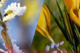 Нічні заморозки не відступають, але в одному регіоні пригріє до +19: прогноз погоди на 14 квітня