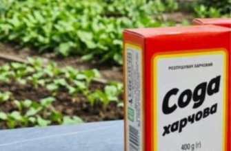 Соду навесні купую по 10 пачок за раз: використовую і на городі, і на кухні, і навіть у спальні