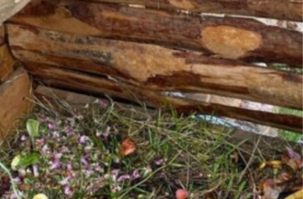 Що можна кидати до компостної ями, а що — ні: детальний розбір