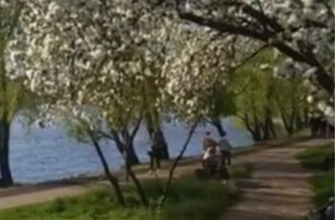 Весна повертається – сонце припиче: синоптик Діденко попередила про погоду на 15 квітня