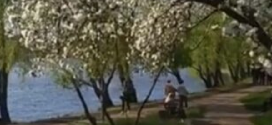 Весна повертається – сонце припиче: синоптик Діденко попередила про погоду на 15 квітня