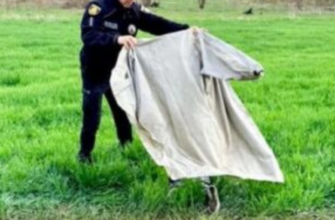 Через 10 днів пошуків на Рівненщині знайшли малюка, який зникнув під час прогулянки (фото, відео)